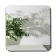 image 1 of Chamaedorea Coaster Set
