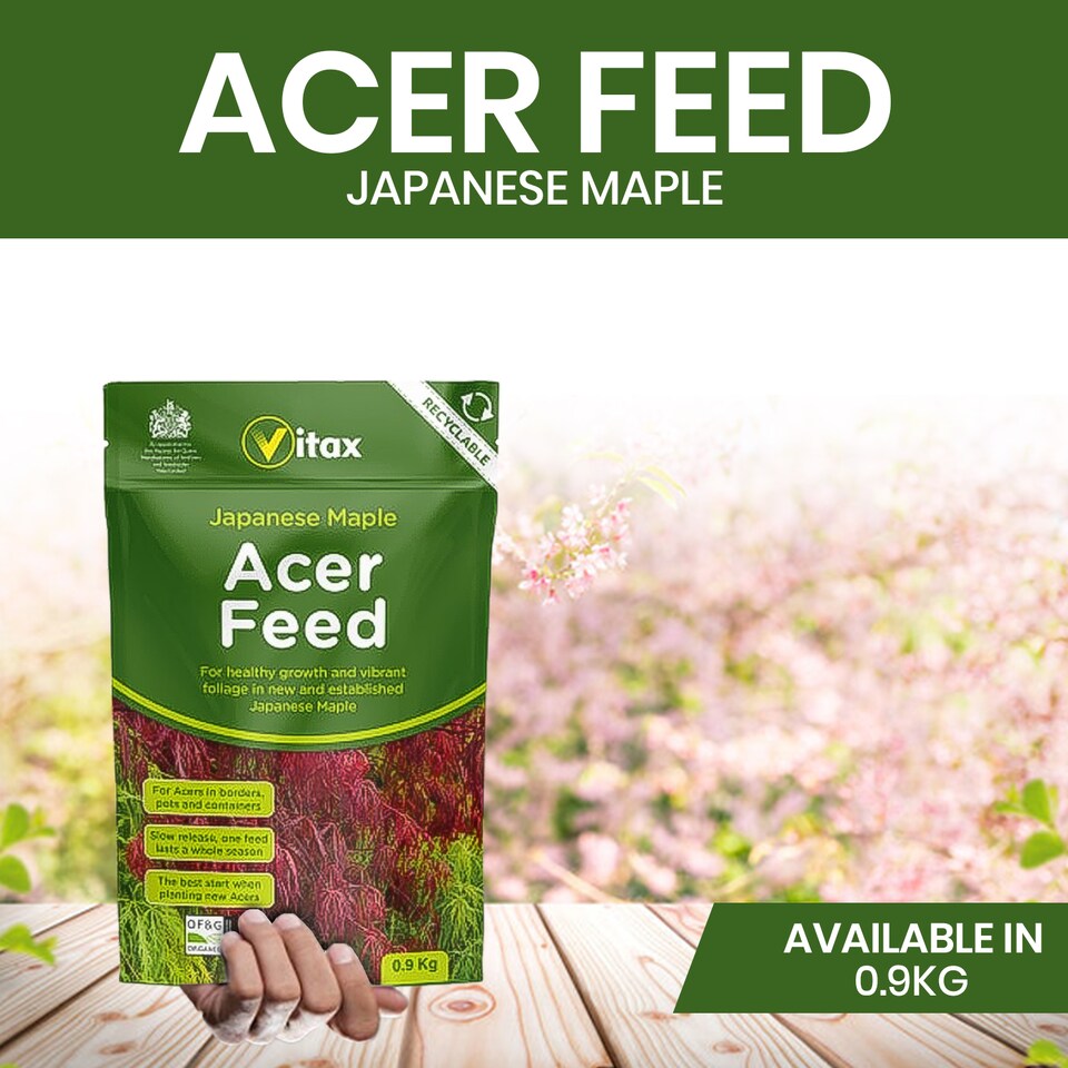 image 1 of Vitax Acer Feed Japanese Maple Tree Organic Plant Feed Healthy Growth Vibrant Foliage 0.9kg Pack of 3
