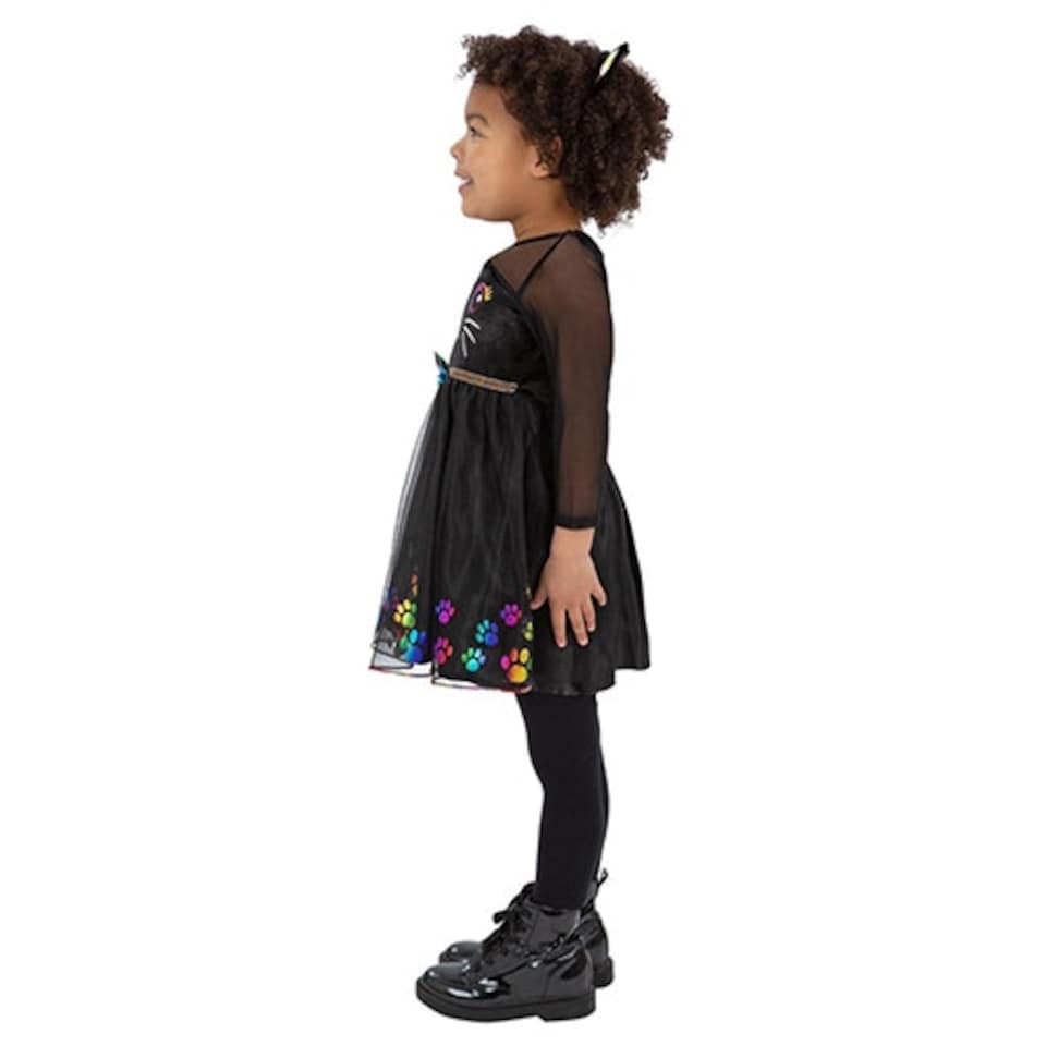 image 1 of Rainbow Cat Girls Fancy Dress Costume Kids Small - Age 4-6