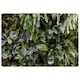image 1 of Urban Jungle, Modern Interior Decoration Designer Rug | Multi