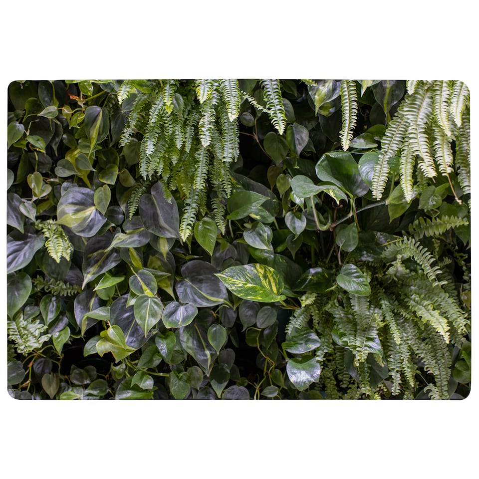 image 1 of Urban Jungle, Modern Interior Decoration Designer Rug | Multi