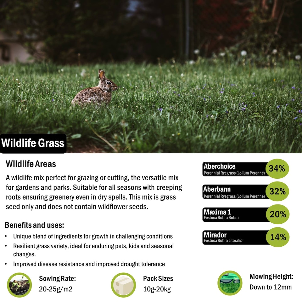 image 1 of Pegdev Wildlife Grass Seed Versatile Resilient Blend for Lush Gardens 500g