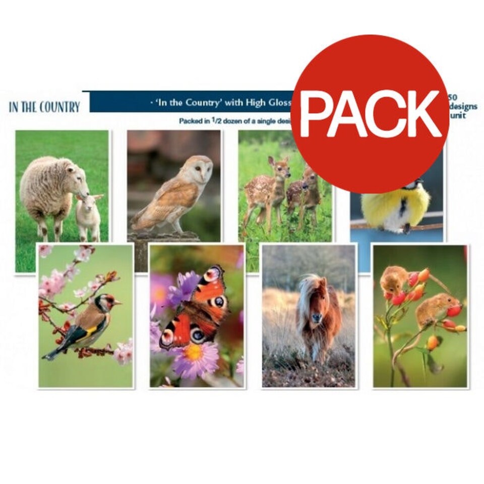image 1 of Simon Elvin In The Country Assorted Designs Greetings Card (Pack of 72) - Multicoloured - One Size Multi | One Size