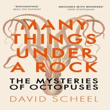 Many Things Under A Rock