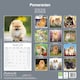 image 2 of Pomeranian 2026 Calendar | Square Wall Calendar | Dog Breed Gift | Plastic Free Packaging | by Avonside Publishing