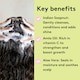 image 5 of Delhicious Rich Roots Strengthen & Moisturise Shampoo- Superfood Amla & Rosemary Oil