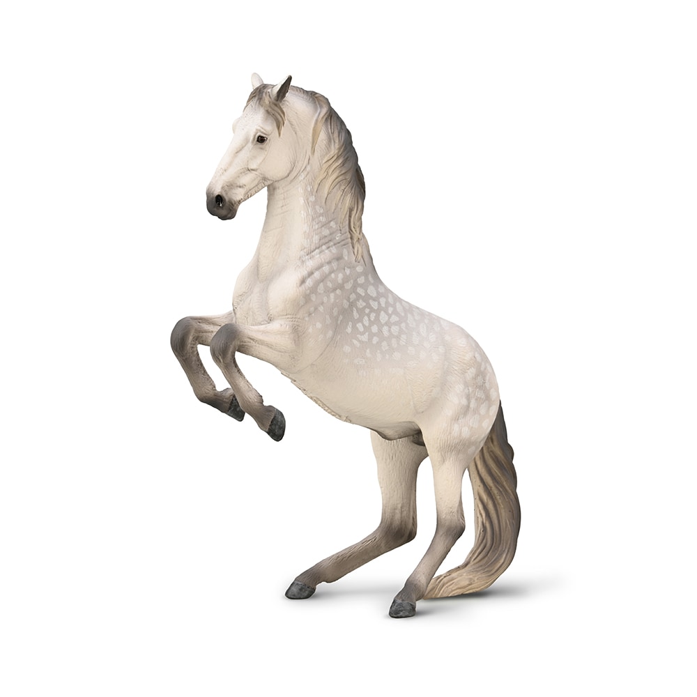 CollectA Lipizzaner Stallion Dapple grey