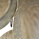 image 5 of Versatile Design Set Of 4 Coffee Tables, Stunning Modern Coffee Tables, Antique Brass Finish Coffee Tables Gold