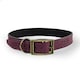 image 1 of HugglePets Legacy Leather Dog Collar - Merlot N/A | XS