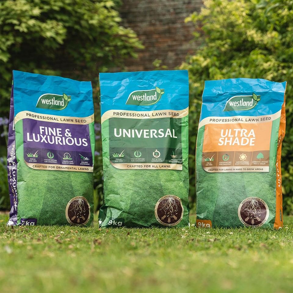 image 1 of Westland Ultra Shade Professional Lawn Seed for All Soil Types Covers 9kg