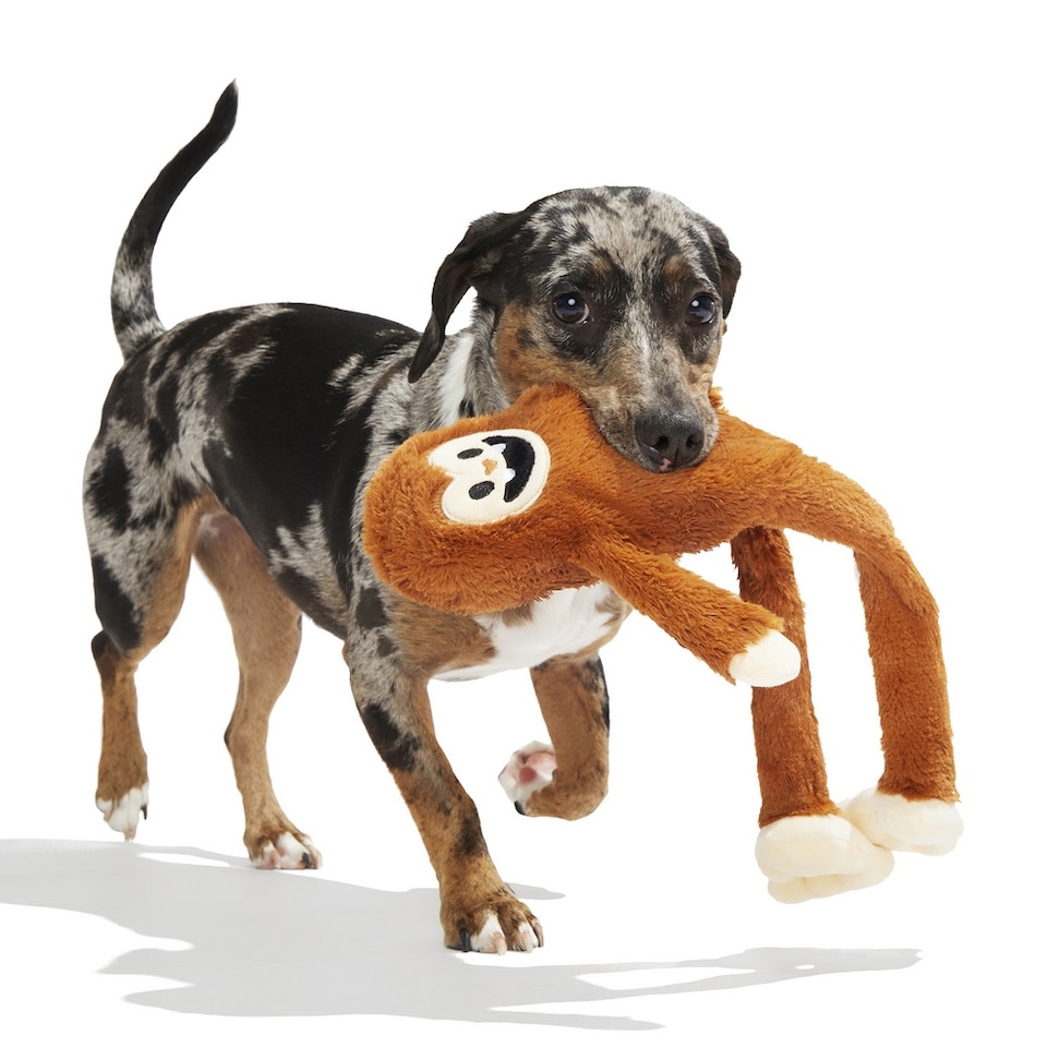 image 1 of BARK Sasquatch Josh Dog Toy