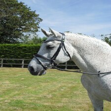 Rhinegold Anatomic Bridle Black | Size: Cob
Colour: Black