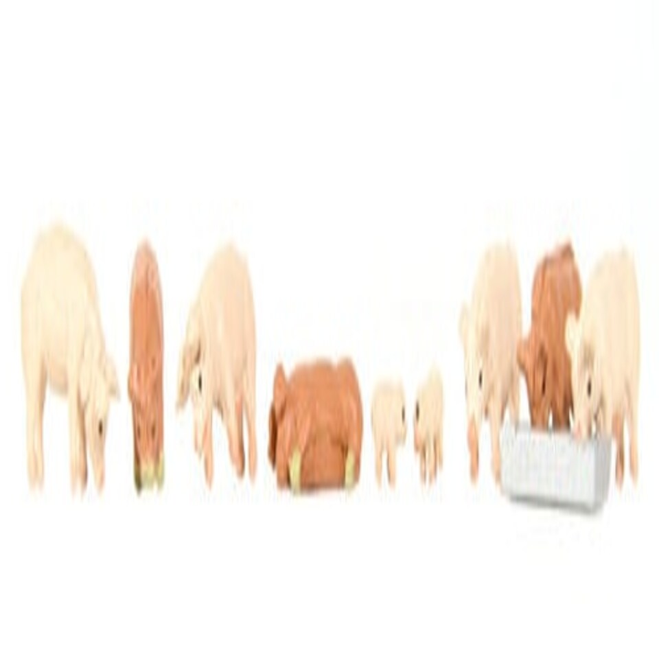 Graham Farish Pigs (9) Figure Set