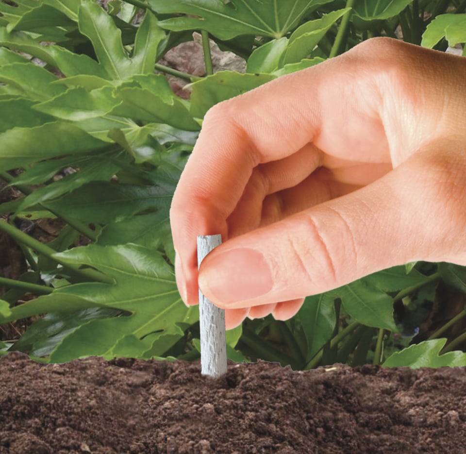 image 1 of Lavender Plant Food Sticks x20 Slow Release Fertiliser by Devonia