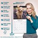 image 6 of Toy & Miniature Poodle  2026 Calendar | Square Wall Calendar | Dog Breed Gift | Plastic Free Packaging | by Avonside Publishing