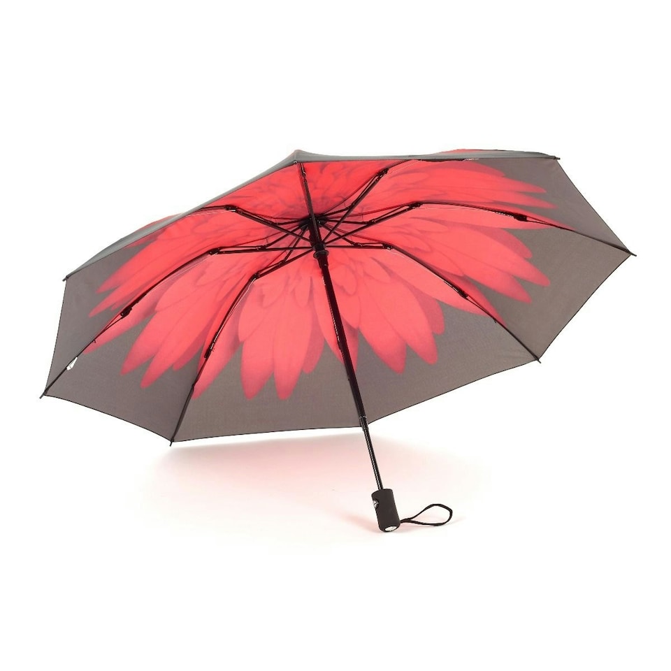 image 1 of Everyday Folding Umbrella Automatic Opening Reverse Daisy Multi