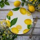 image 2 of Lemon Fresh Melamine/Plastic Dinner Plate | Yellow | Set of 1