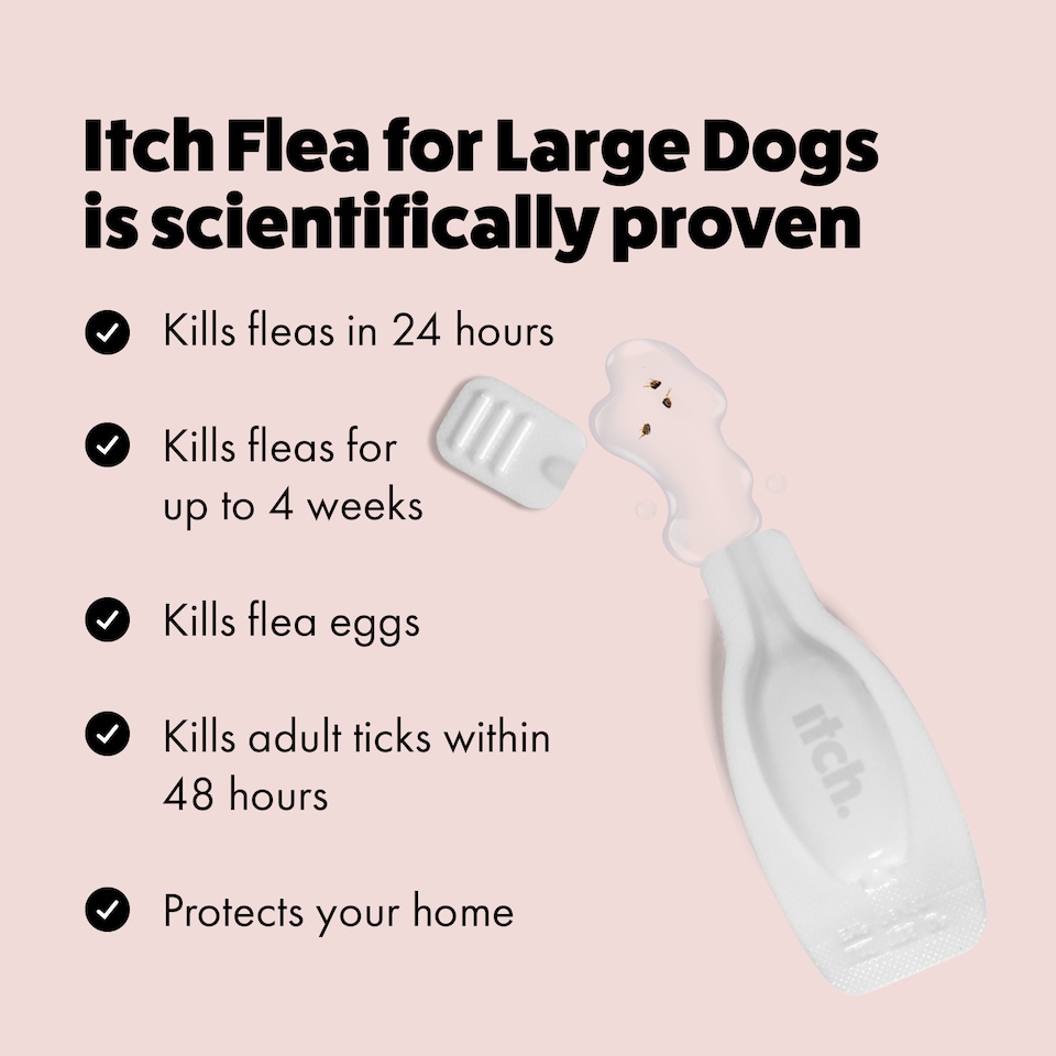 image 1 of Itch Flea Large Dog Flea & Tick Spot On Treatment 2 Pipette (20-40kg)