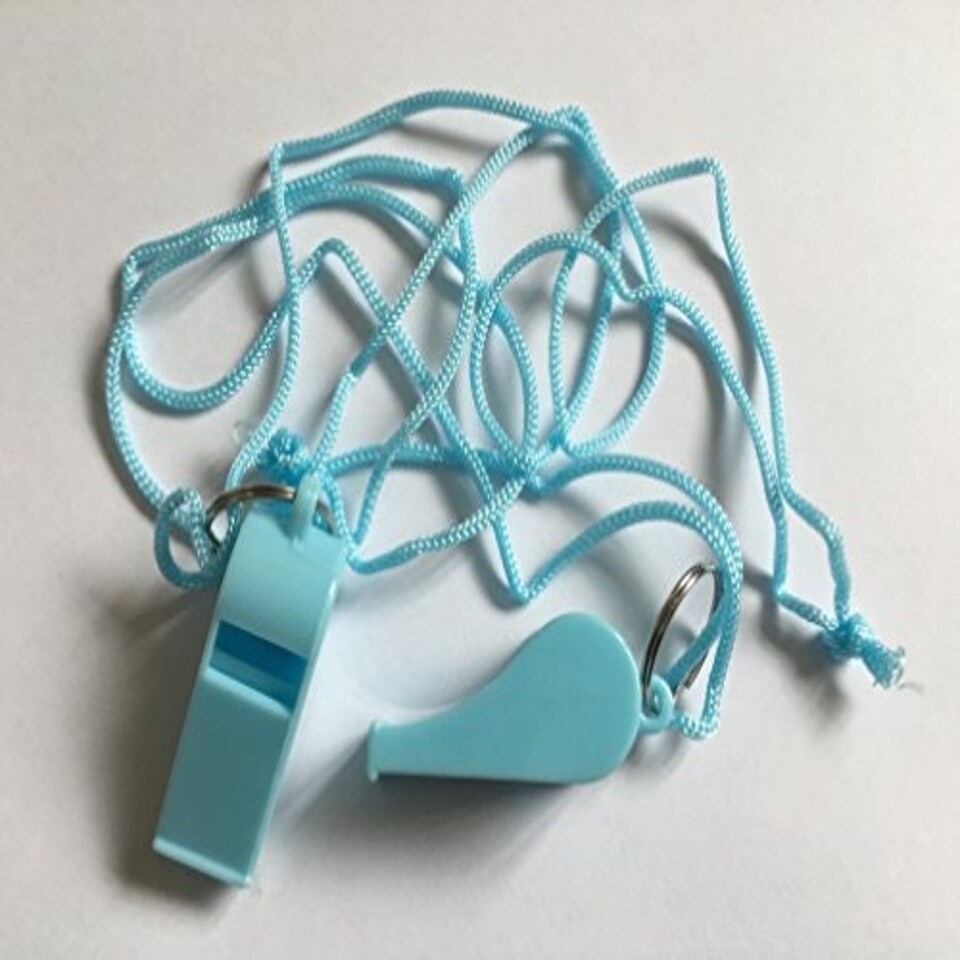 Pack of 15 Light Blue Plastic Whistles with Lanyard Neck Cord Tesco