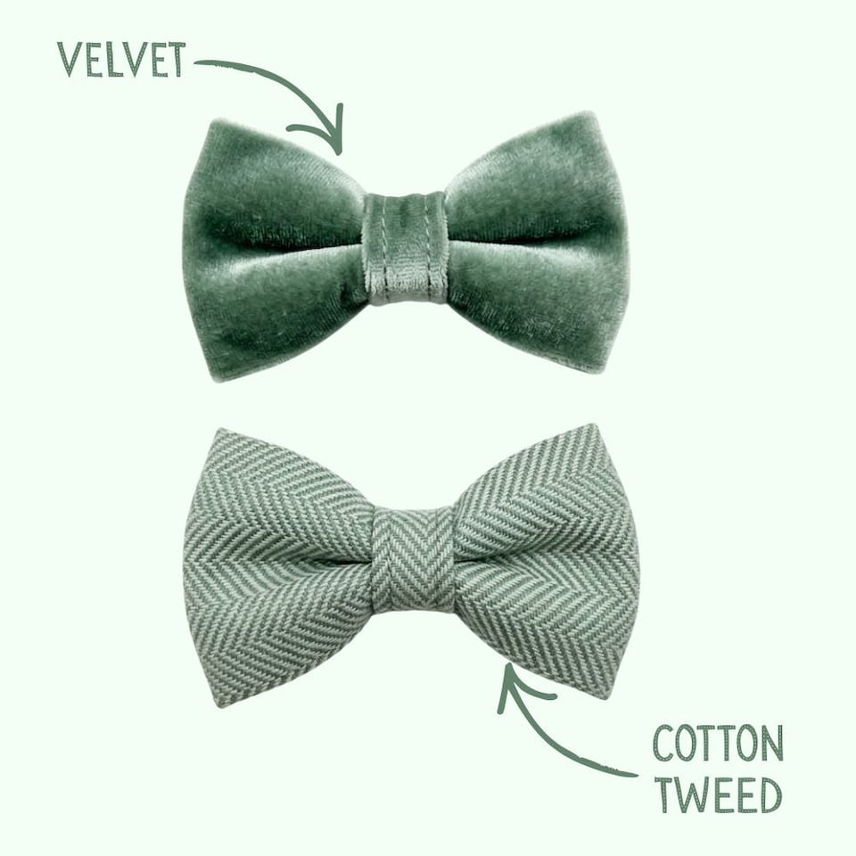 image 1 of Tails of Glory Green Tweed and Velvet Bow Set