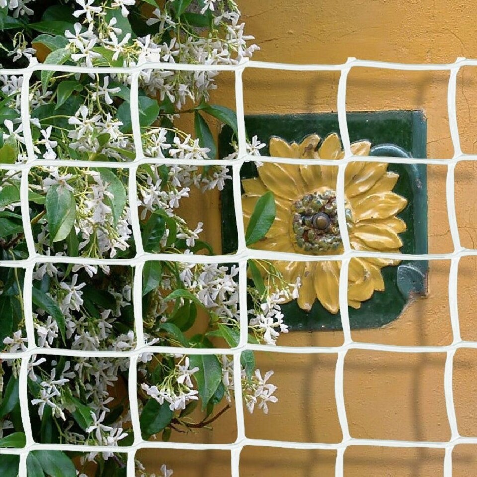 image 1 of True Products Climbing Plant Support Mesh Pea Bean Garden Trellis - 50mm x 50mm - White - 1m x 25m