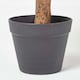 image 4 of Homescapes Peach Artificial Peony Tree in Black Pot, 100 cm Tall