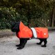 image 5 of Danish Design 2 In 1 Orange Dog Coat 40cm (16")