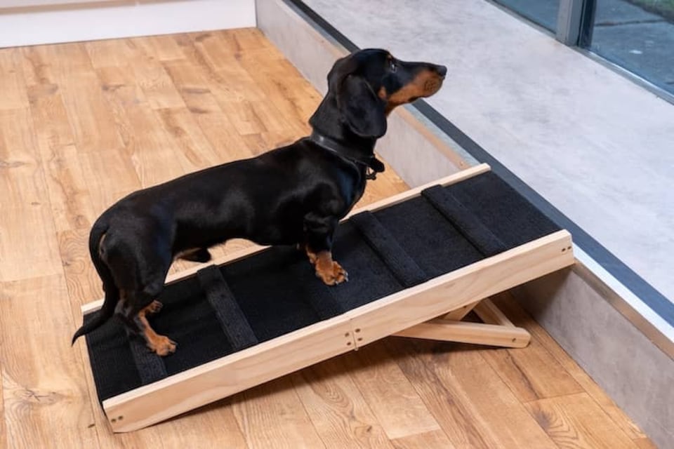 image 1 of The Ramp People Adjustable Dog Ramp for Beds and Sofas