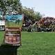 image 3 of Westland Moss Master Natural Moss Remover and Slow-Release Lawn Feed 400 sqm