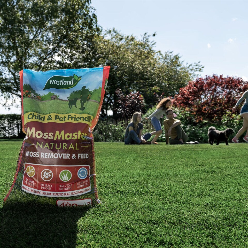 image 1 of Westland Moss Master Natural Moss Remover and Slow-Release Lawn Feed 400 sqm