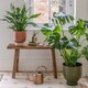 image 3 of Austin Dual Metal Planters (Set of 2) - Mild Steel - Rhubarb | Brown