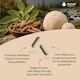 image 2 of Ashwagandha KSM-66 & Lions Mane 120 Capsules 2000mg