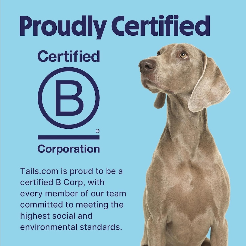 image 1 of 10 x 80g Tails.com Inner Vitality Superfood Bites Dog Treats Pouches - Salmon