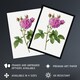 image 2 of Agatha Rose Floral Redoute Vintage Framed Wall Art Print 12X16"