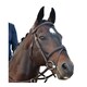 image 1 of Collegiate Comfitec Opulux Padded Leather Sch Horse Bridle | Brown | Dark Brown | Pony | 1