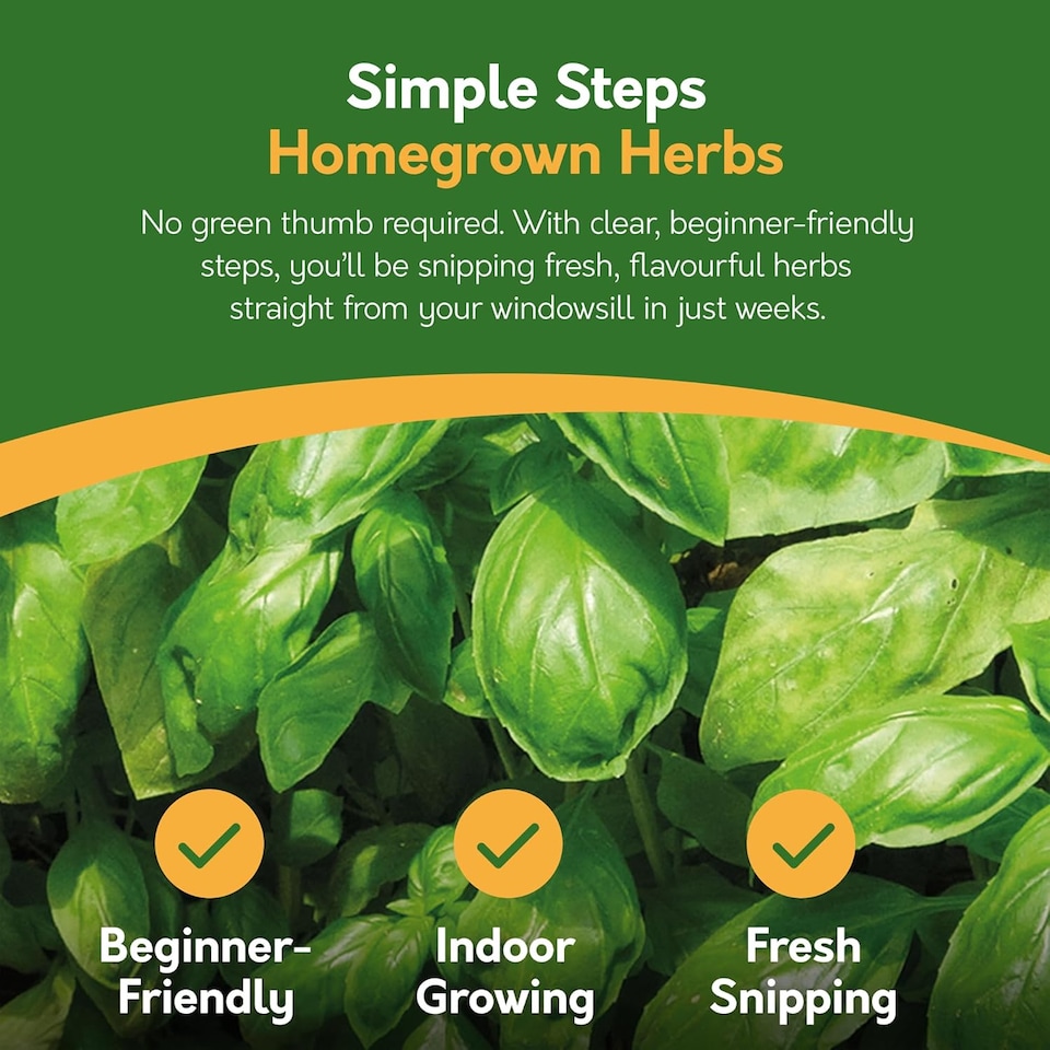 image 1 of Pronto Seed Grow Your Own Kitchen Herb Seed Kit - 5 Varieties - A Thoughtful Gift for Foodies | Multi | Herbs | 1