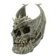 image 1 of Spiral Direct Draco Dragon Skull Ornament - Grey/Brass - One Size