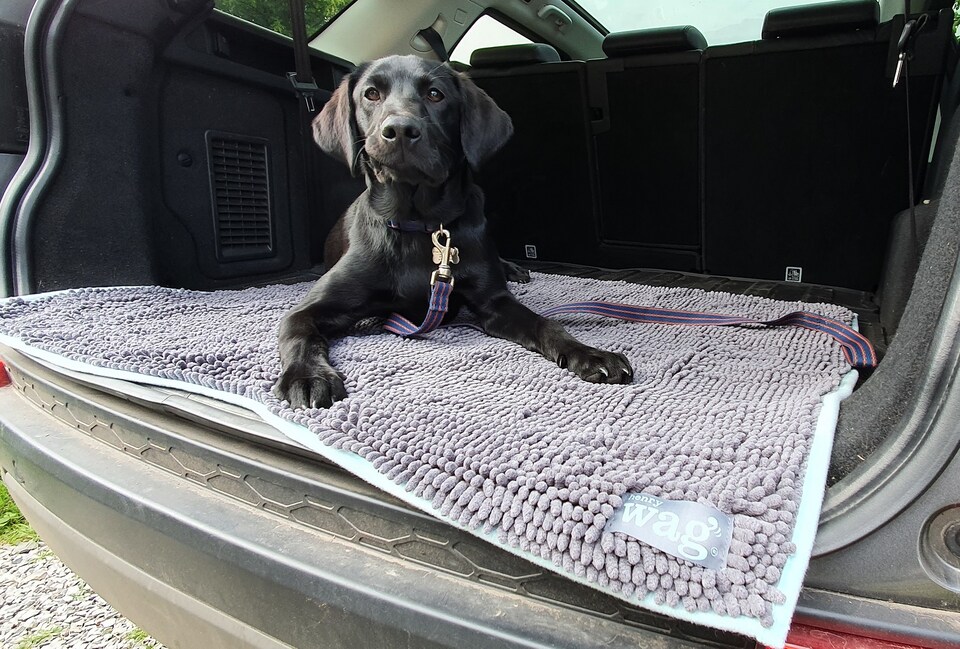image 1 of Henry Wag Microfibre Pet Noodle Mat, Ideal As A Bed, Floor Mat Or Towel, Size X-Large | Grey | XL | 1