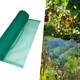 image 3 of Pegdev Green Strawberry Netting UV Mesh for Fruit Plants Birds Away 19m