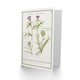 image 2 of Anselmus de Boodt Art Card Thistle and Artichoke Flowers