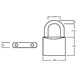 image 2 of Squire Lion Brass Padlock | Multi | Multi Colour | 1