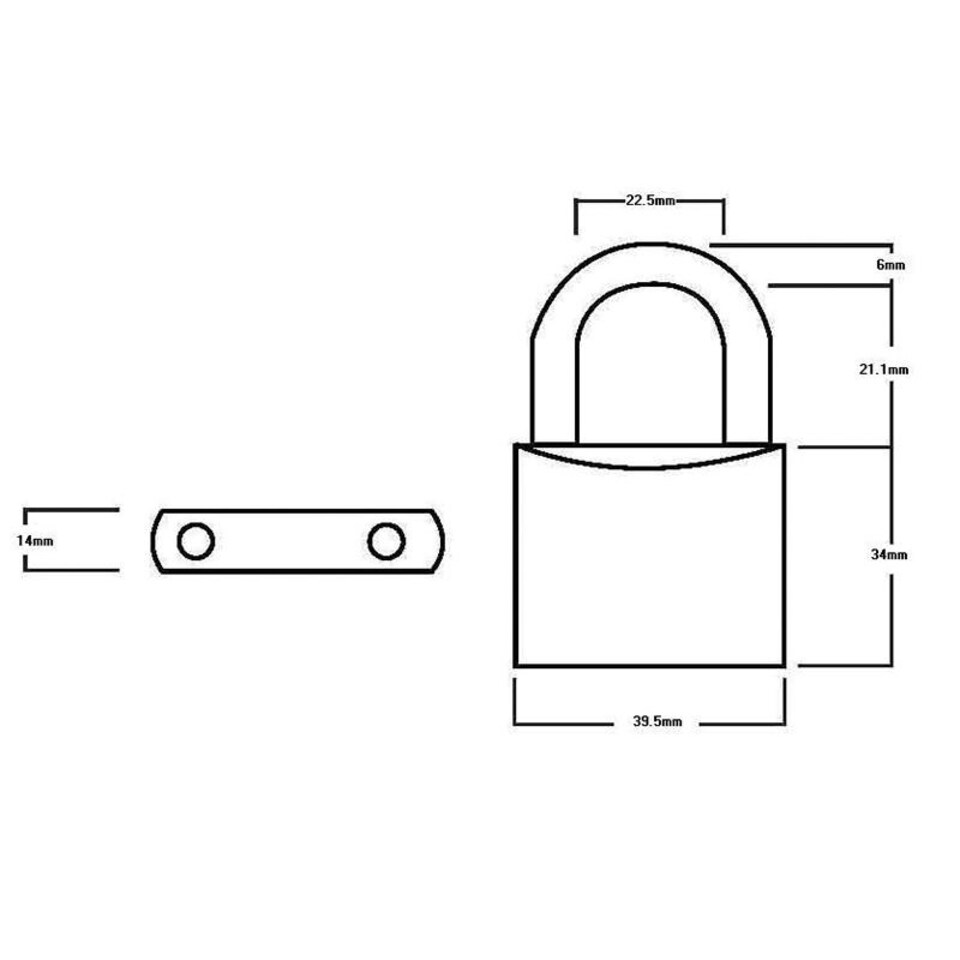 image 1 of Squire Lion Brass Padlock | Multi | Multi Colour | 1
