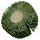 image 2 of 80 Grit 80mm Flap Wheel Disc Abrasive Sanding Pads For Drills 6mm Shank 10pc
