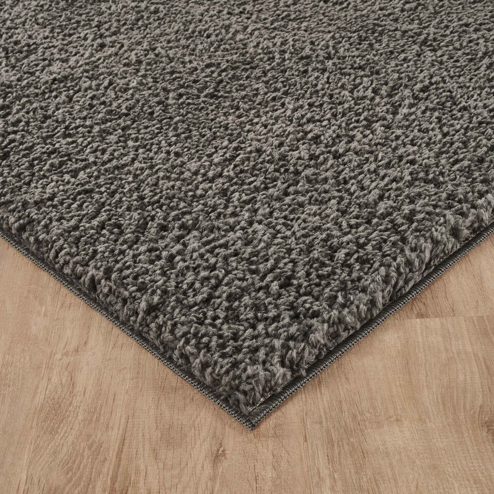 image 1 of Desire Rugs Ainsley Plain Living Room Shaggy Area Rug