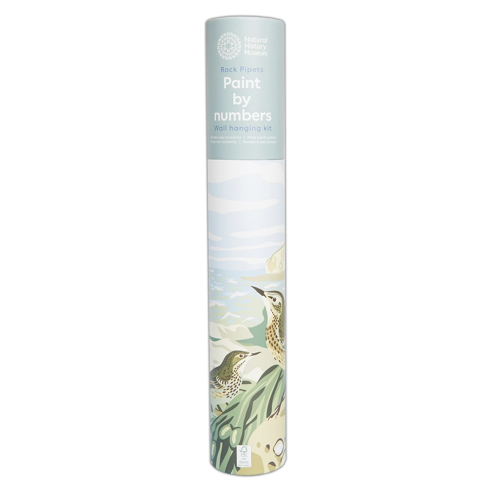 image 1 of Natural History Museum Paint By Numbers Rock Pipits Hanging Kit