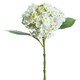 image 2 of Hill Interiors Artificial Lace Cap Hydrangea Stem - Whiite - One Size