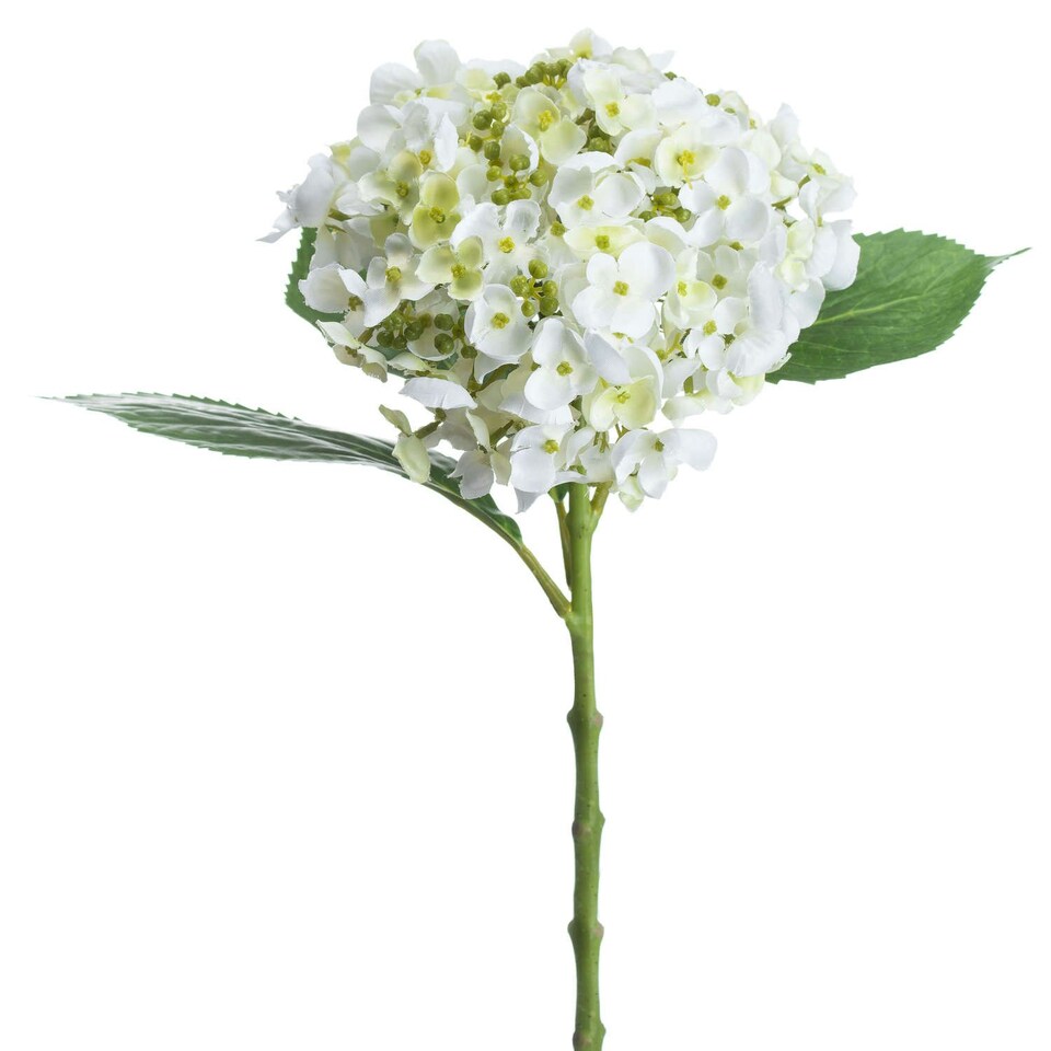 image 1 of Hill Interiors Artificial Lace Cap Hydrangea Stem - Whiite - One Size