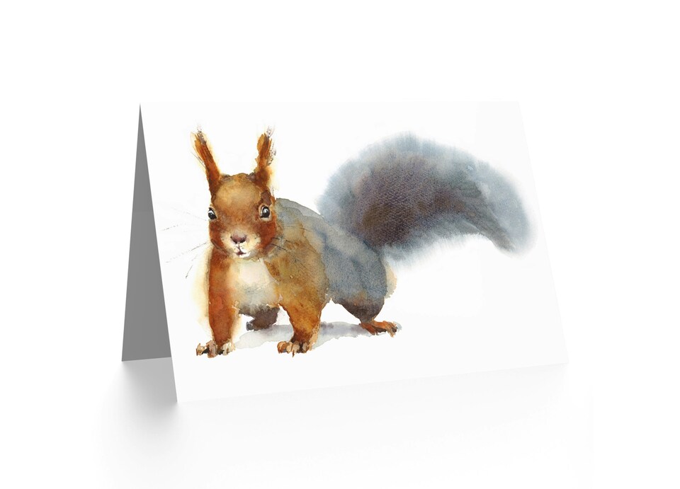 image 1 of Watercolour Cute Squirrel Art Blank Just to Say Card
