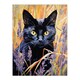 image 3 of Cat Lavender Meadow Floral Animal Portrait Black Framed Wall Art Print A4