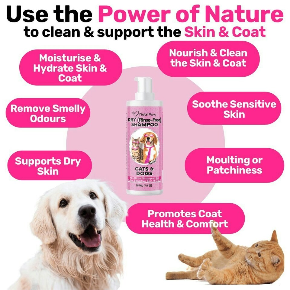 image 1 of No-Rinse Skin & Coat Foam